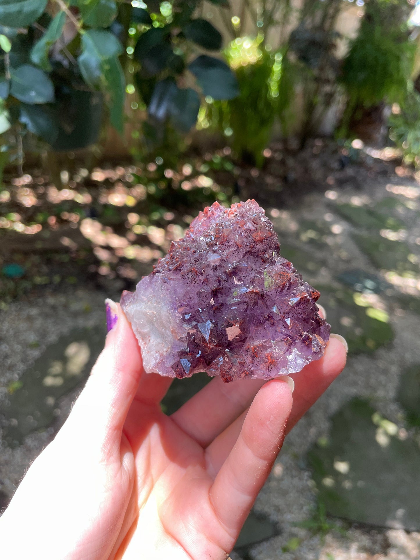 Thunder Bay Amethyst Ontario Canada 277.2g Specimen Amethyst with Hematite Mineral Crystal