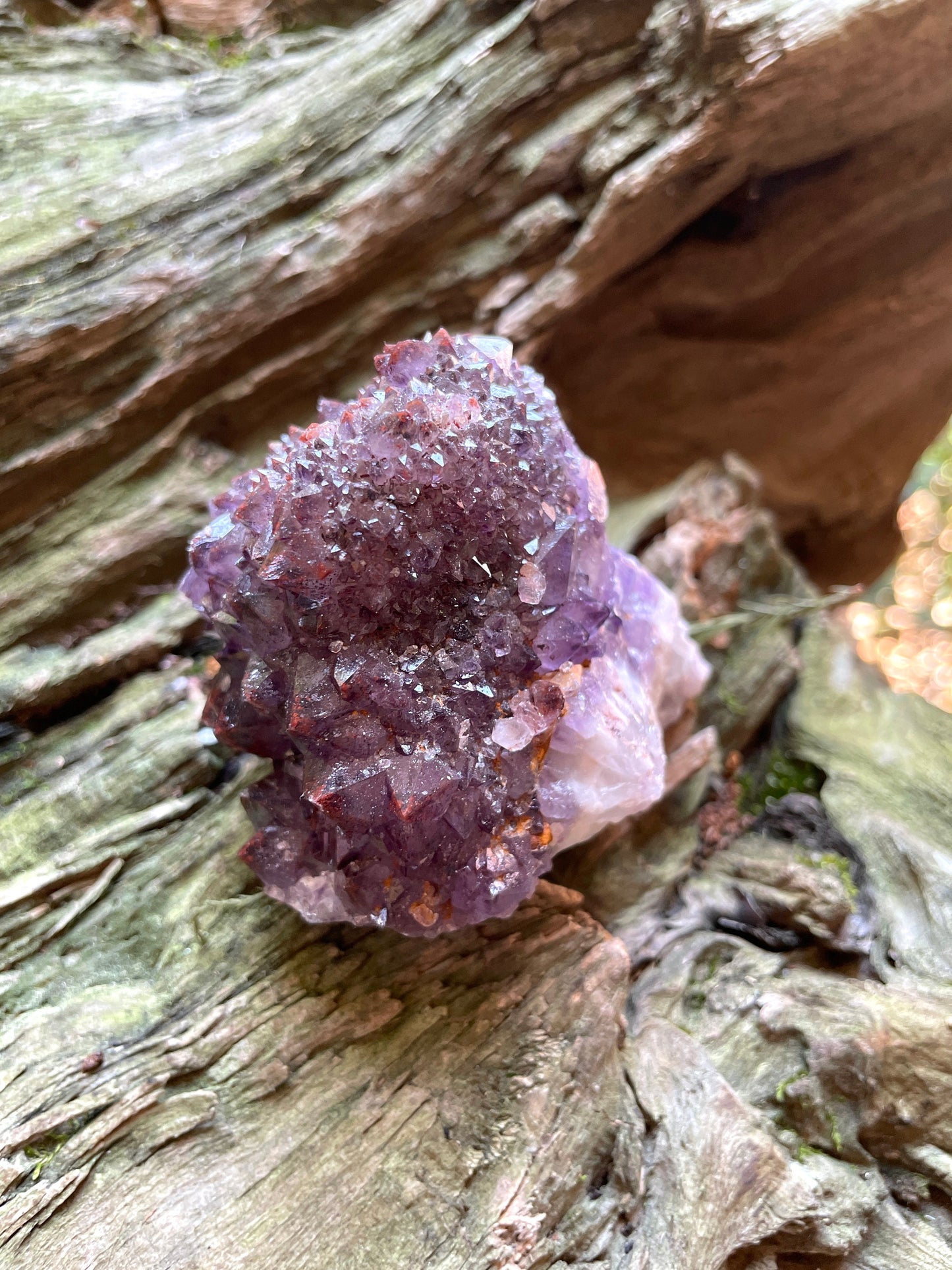 Thunder Bay Amethyst Ontario Canada 277.2g Specimen Amethyst with Hematite Mineral Crystal