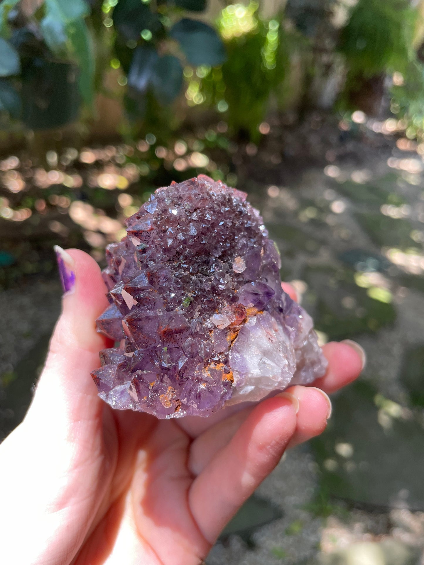 Thunder Bay Amethyst Ontario Canada 277.2g Specimen Amethyst with Hematite Mineral Crystal