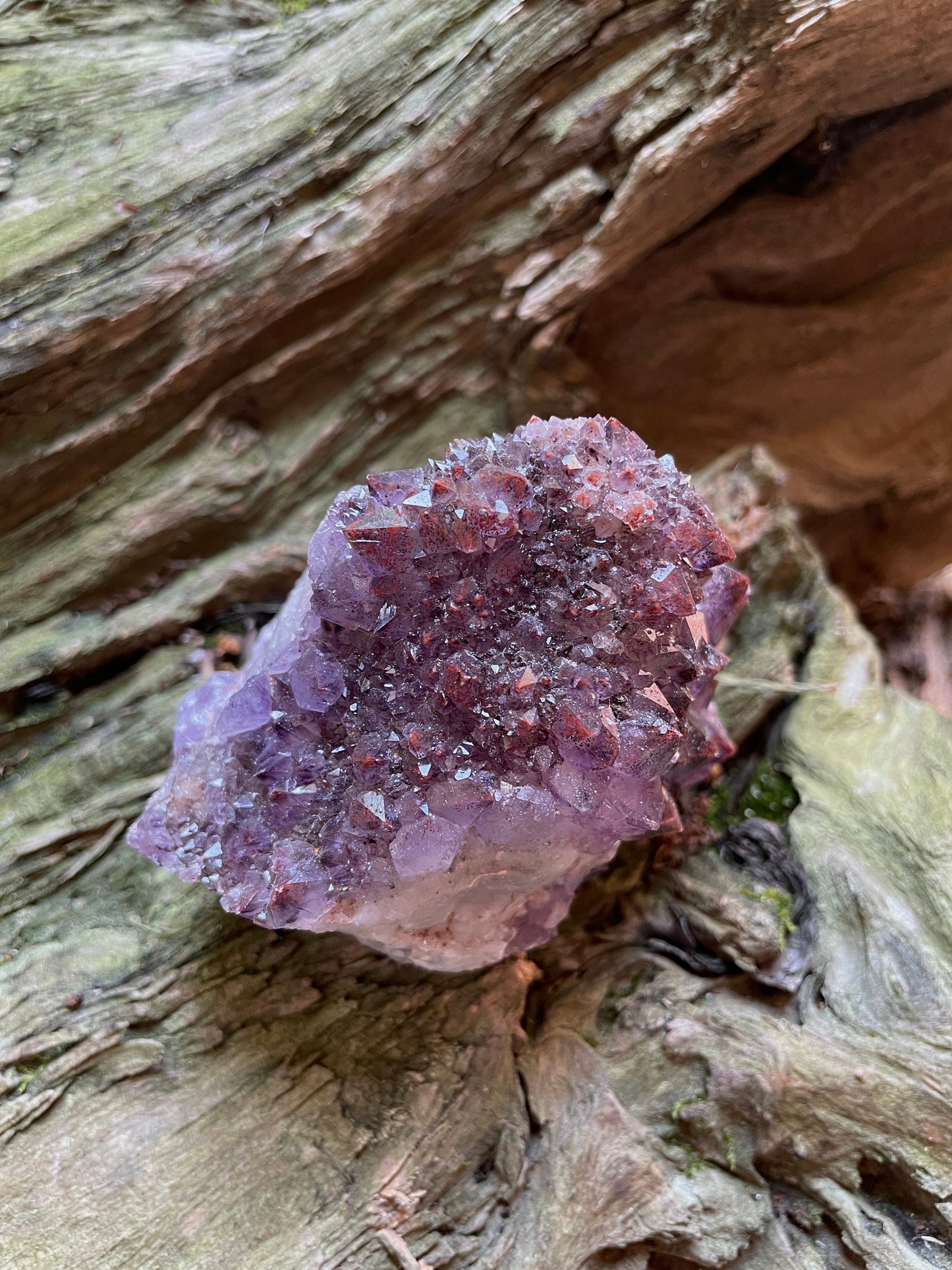 Thunder Bay Amethyst Ontario Canada 277.2g Specimen Amethyst with Hematite Mineral Crystal