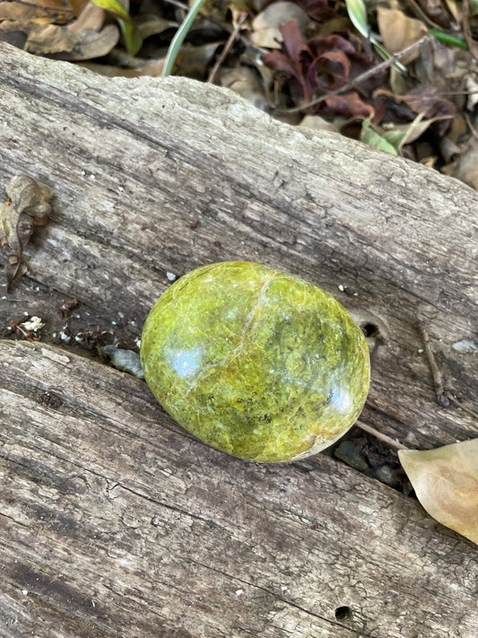 Polished Green Opal Palm Stone From Madagascar, Specimen 125.5g Mineral Crystal