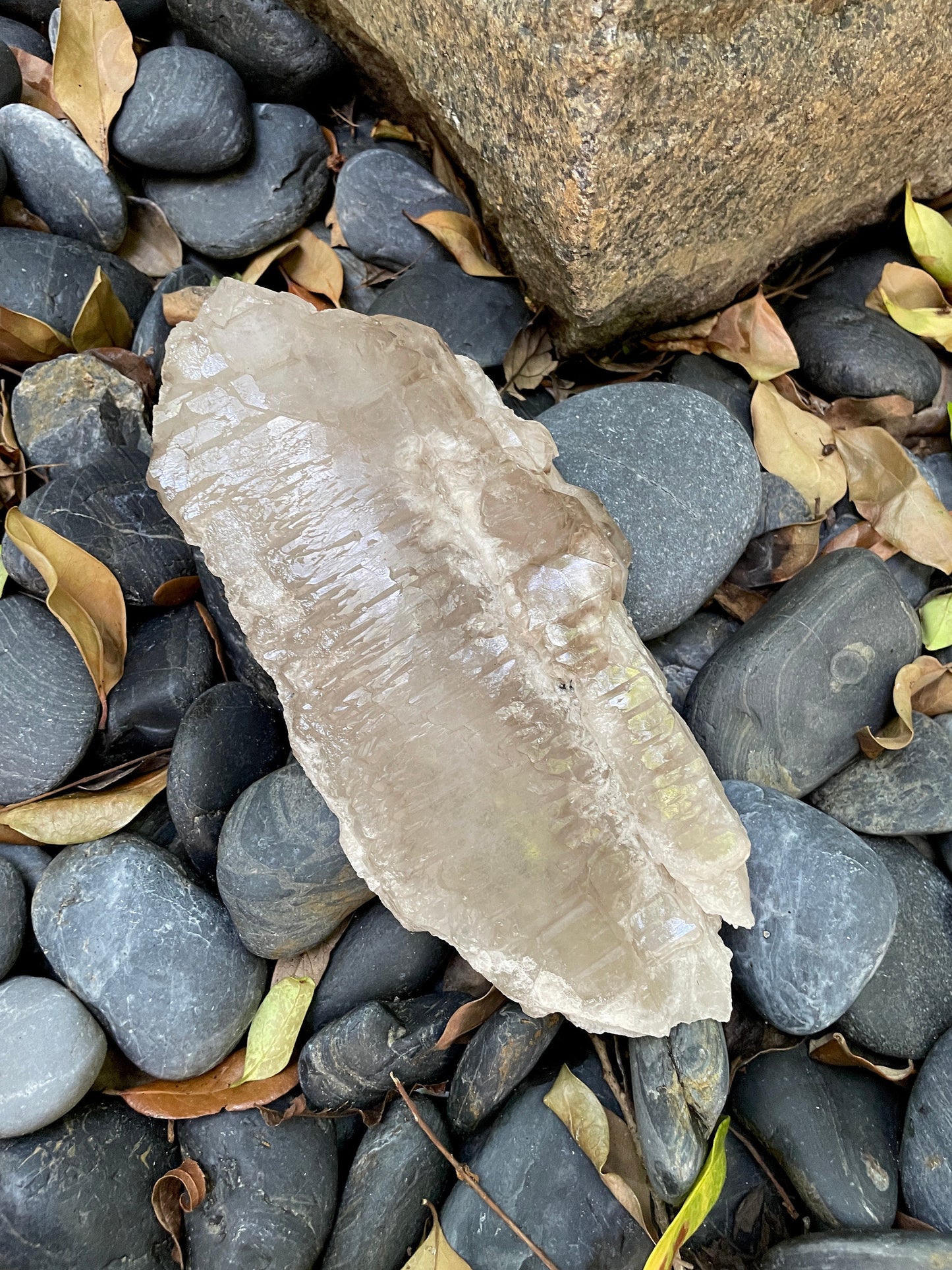 Pale Smokey Elesital Quartz Specimen from Minas Gerais Brazil, 882g 1lb 15.2oz Mineral Crystal