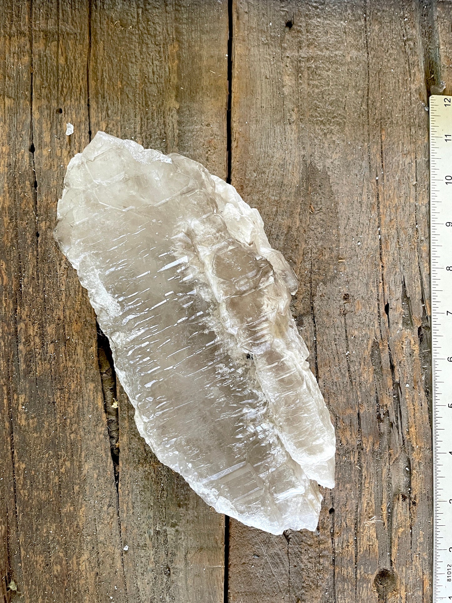 Pale Smokey Elesital Quartz Specimen from Minas Gerais Brazil, 882g 1lb 15.2oz Mineral Crystal