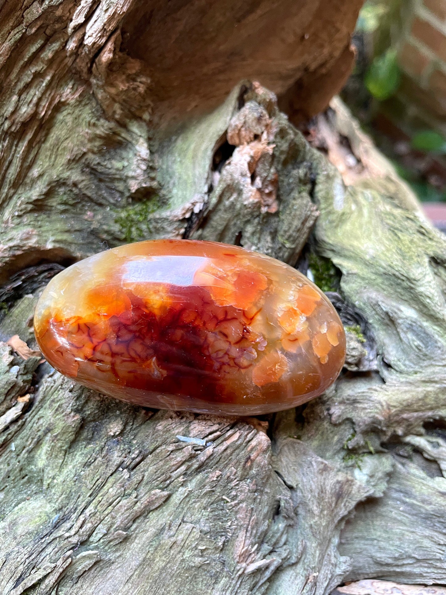 Carnelian Palm Stone Specimen 109.3g Specimen From Madagascar Mineral Crystal