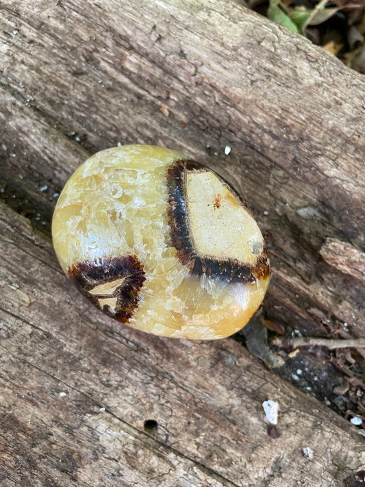 Lovely Septarian Calcite Palm Stone Madagascar 167.5g Specimen