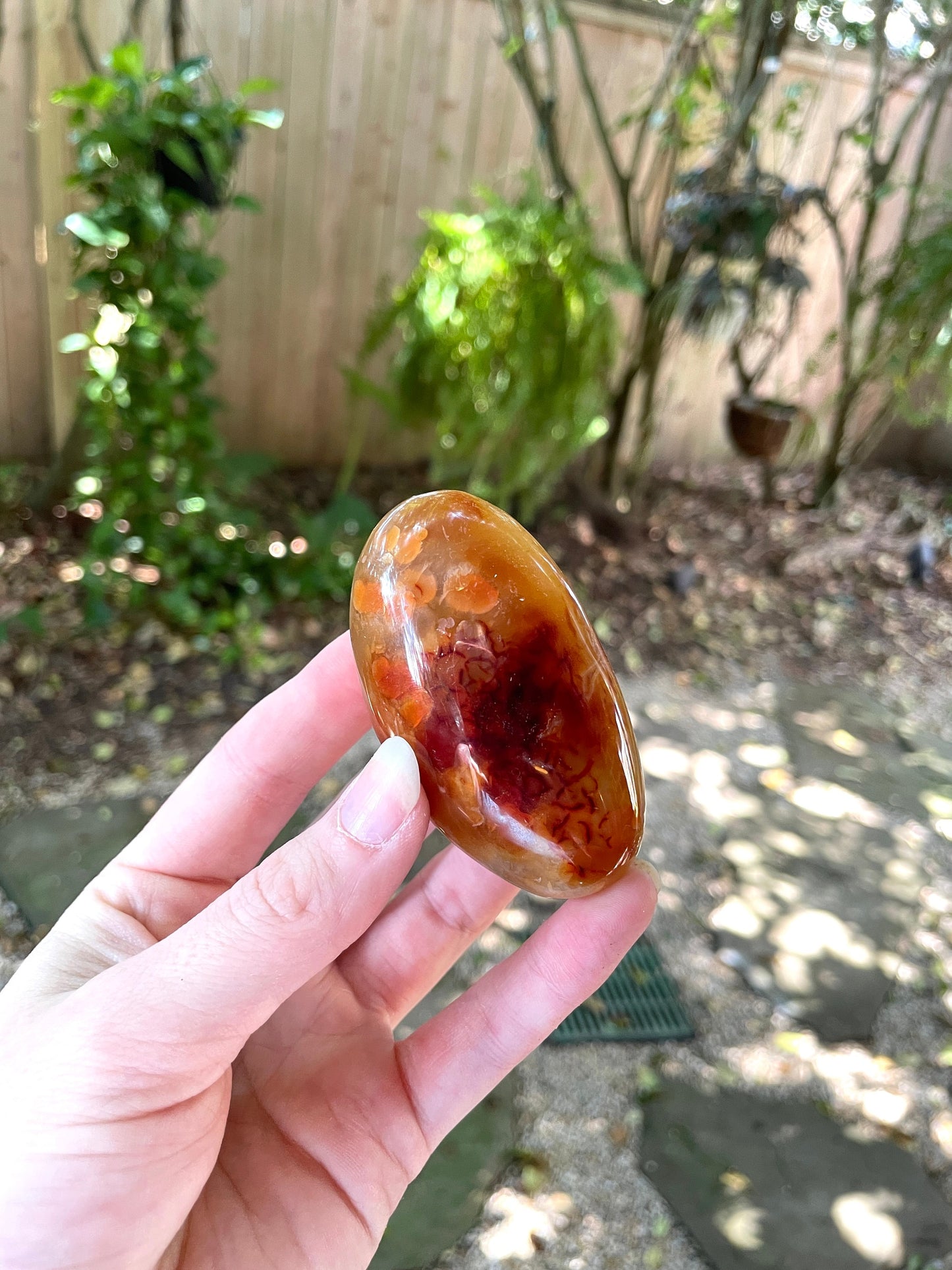 Carnelian Palm Stone Specimen 109.3g Specimen From Madagascar Mineral Crystal