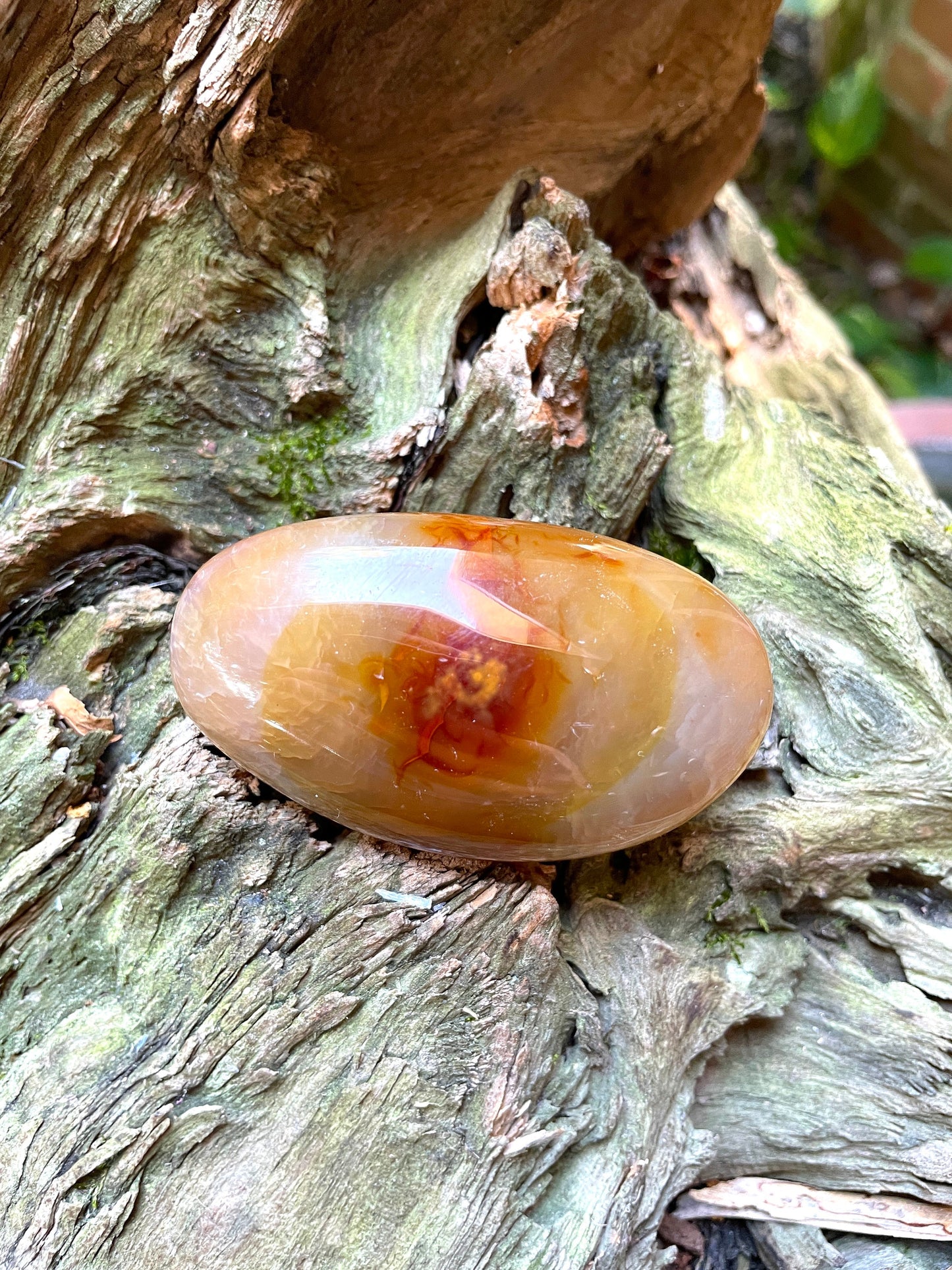 Carnelian Palm Stone Specimen 109.3g Specimen From Madagascar Mineral Crystal