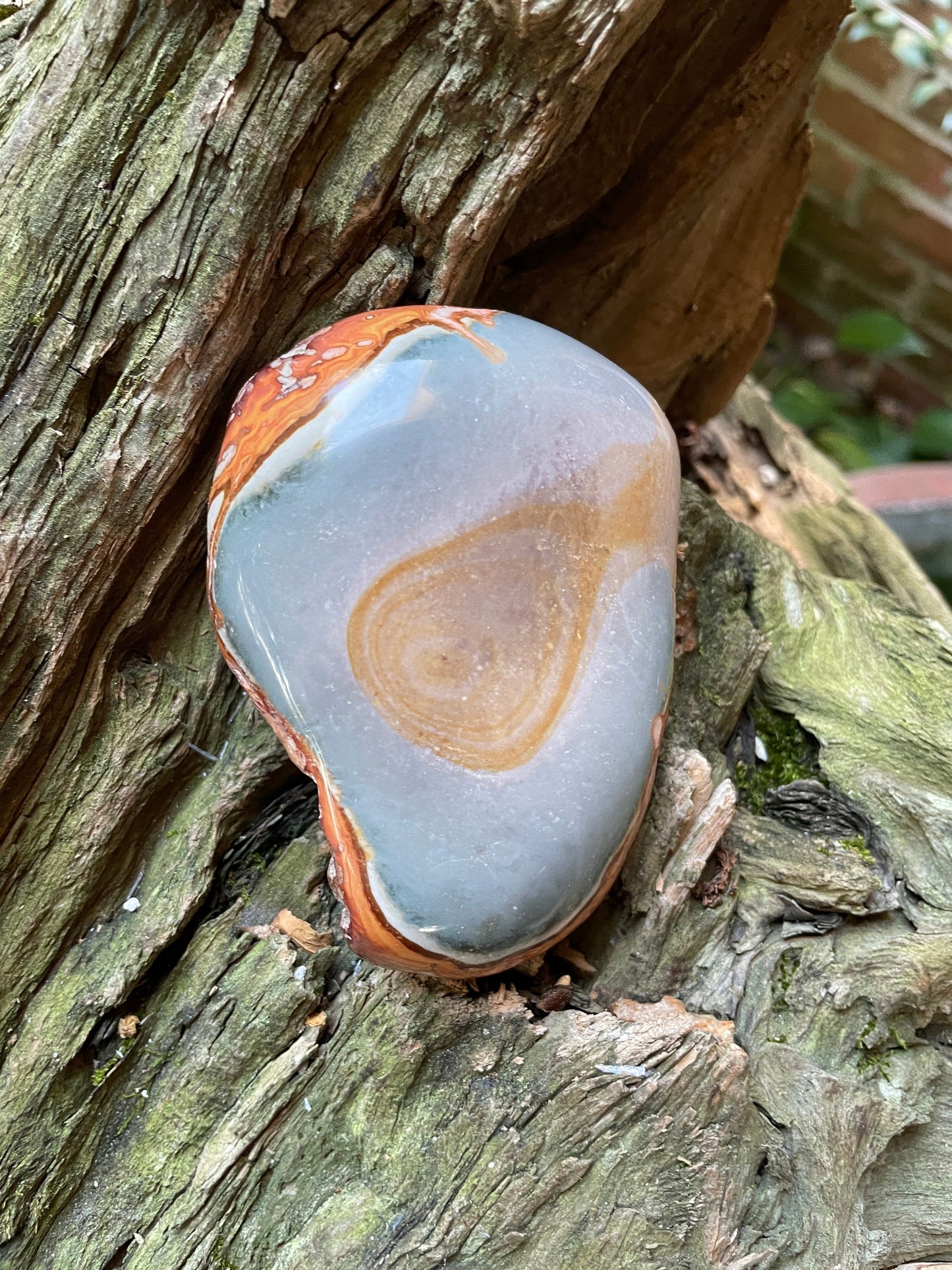 Half Polished Polychrome Jasper Stone, 216g Specimen From Madagascar Mineral Crystal