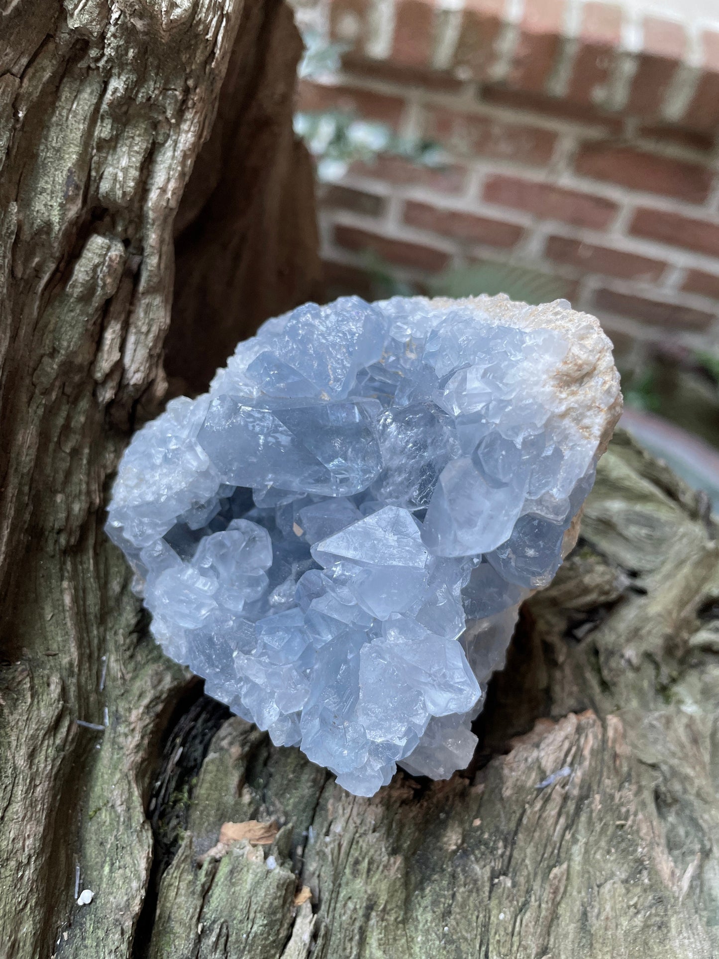 Sparkly Blue Celestine/Celestite Geode 486g 1lb 1.1oz Specimen, Madagascar Mineral Crystal