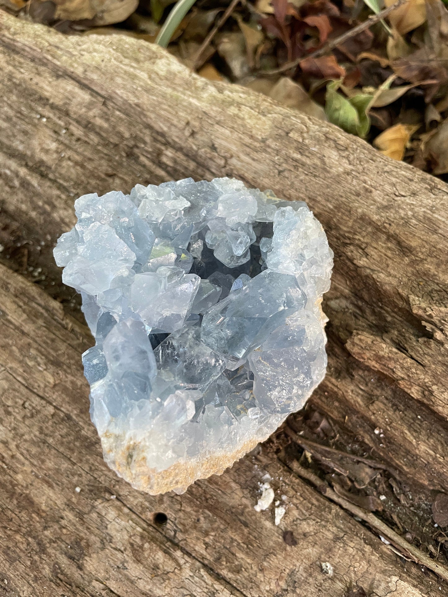 Sparkly Blue Celestine/Celestite Geode 486g 1lb 1.1oz Specimen, Madagascar Mineral Crystal