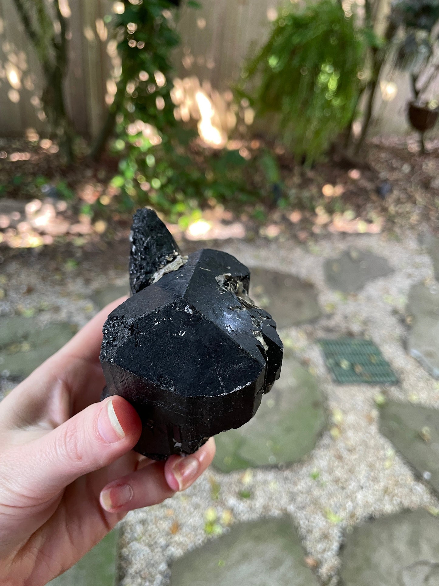 Black Tourmaline with Feldspar, Mica and Quartz From Brazil 642g 1lb 6.7oz Specimen Mineral Crystal