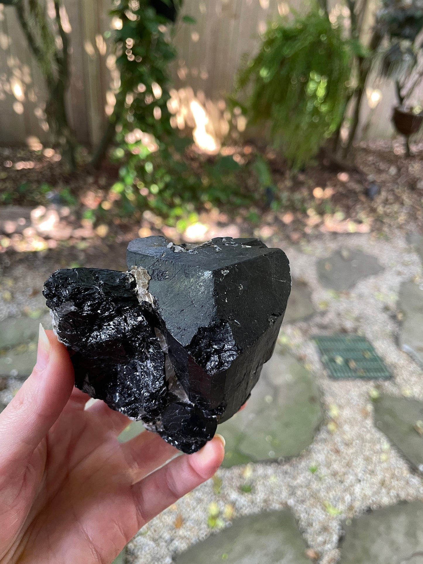 Black Tourmaline with Feldspar, Mica and Quartz From Brazil 642g 1lb 6.7oz Specimen Mineral Crystal