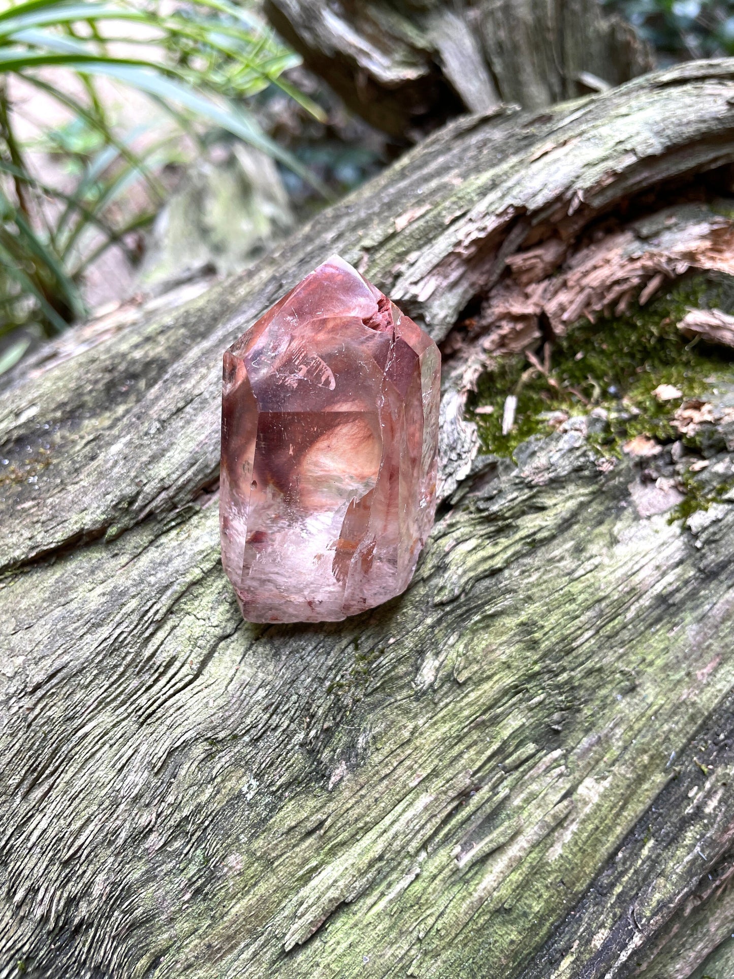 Rare Amphibole/Angel Phantom Quartz polished specimen 69.4g Crystal Mineral