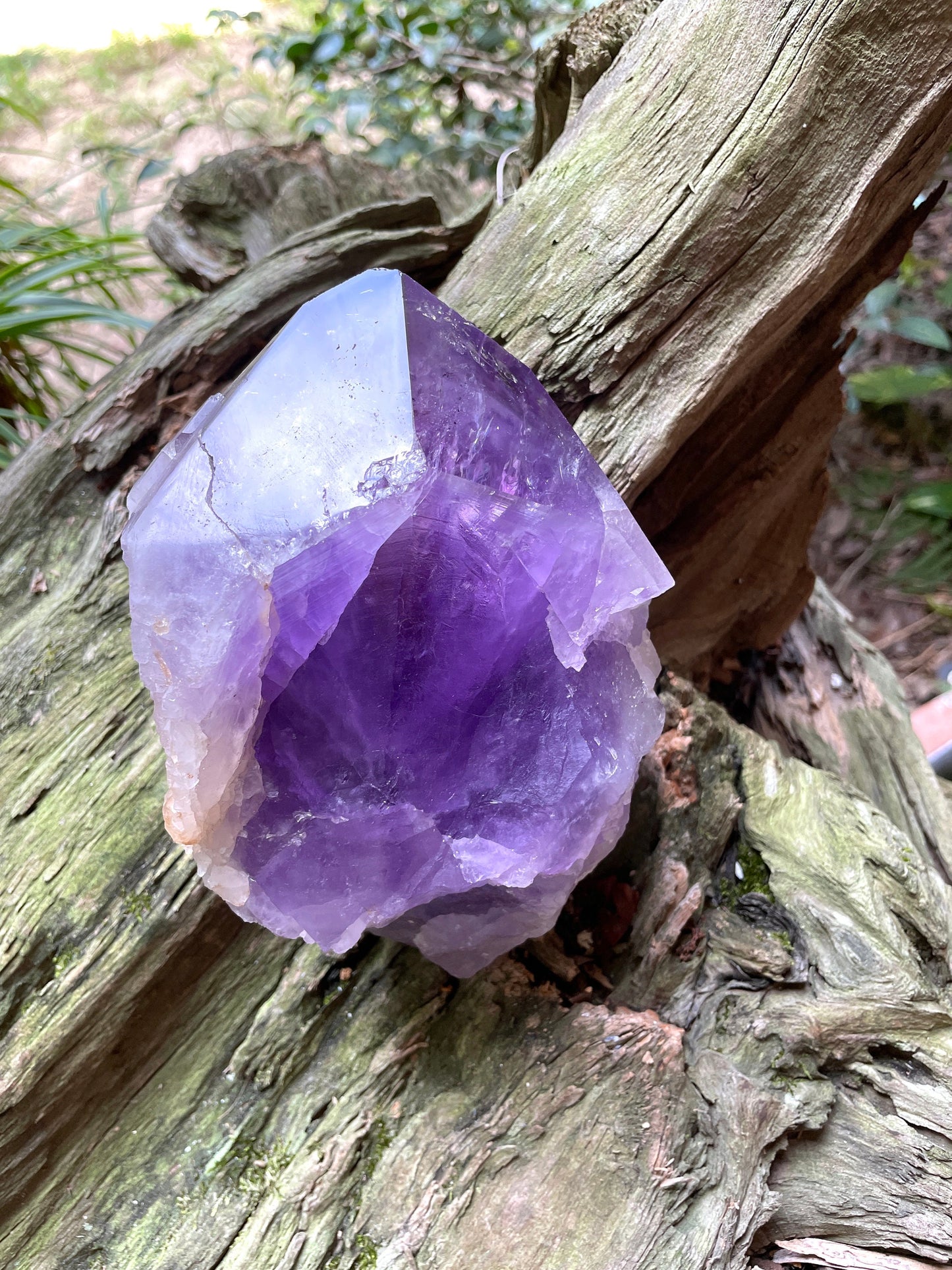 Elestial Amethyst With Polished Tips 1732g 3lb 13.1oz From Brazil Specimen Mineral Crystal