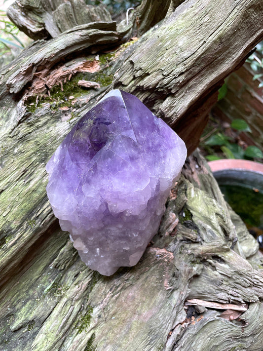 Elestial Amethyst With Polished Tips 1732g 3lb 13.1oz From Brazil Specimen Mineral Crystal