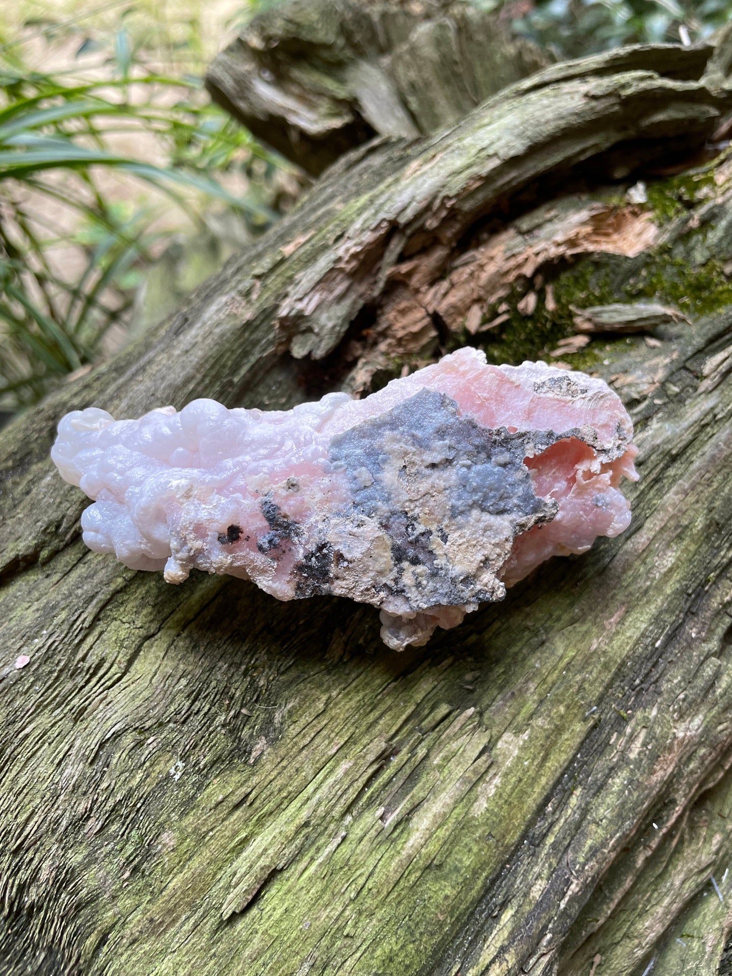 Rare Natural Botryoidal Pink Opal from Ica, Peru Specimen 84.5g Mineral Crystal
