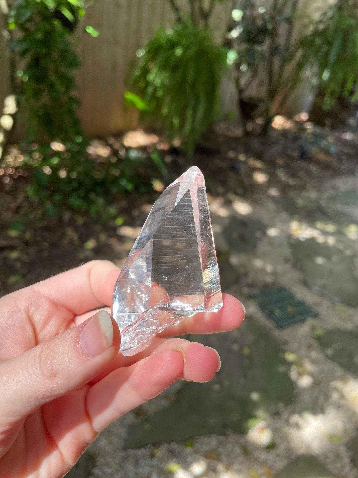 Stunning Columbian Lemurian Optical Quartz Point 61.4g Specimen Mineral Crystal Water Clear