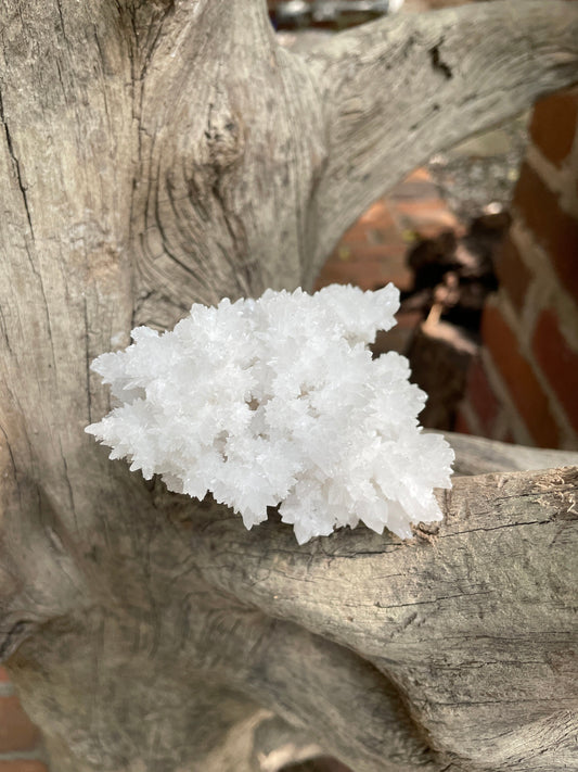 Aragonite Cave Calcite From Mexico 239.9g Specimen Crystals Minerals