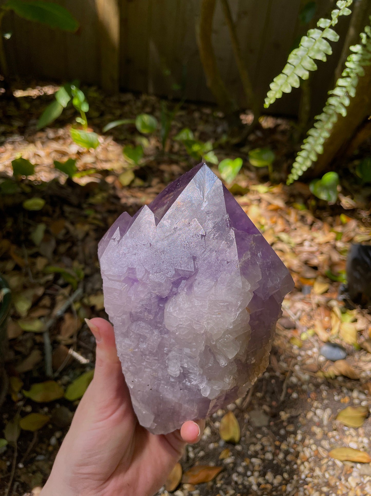 Elestial Amethyst With Polished Tips 1732g 3lb 13.1oz From Brazil Specimen Mineral Crystal