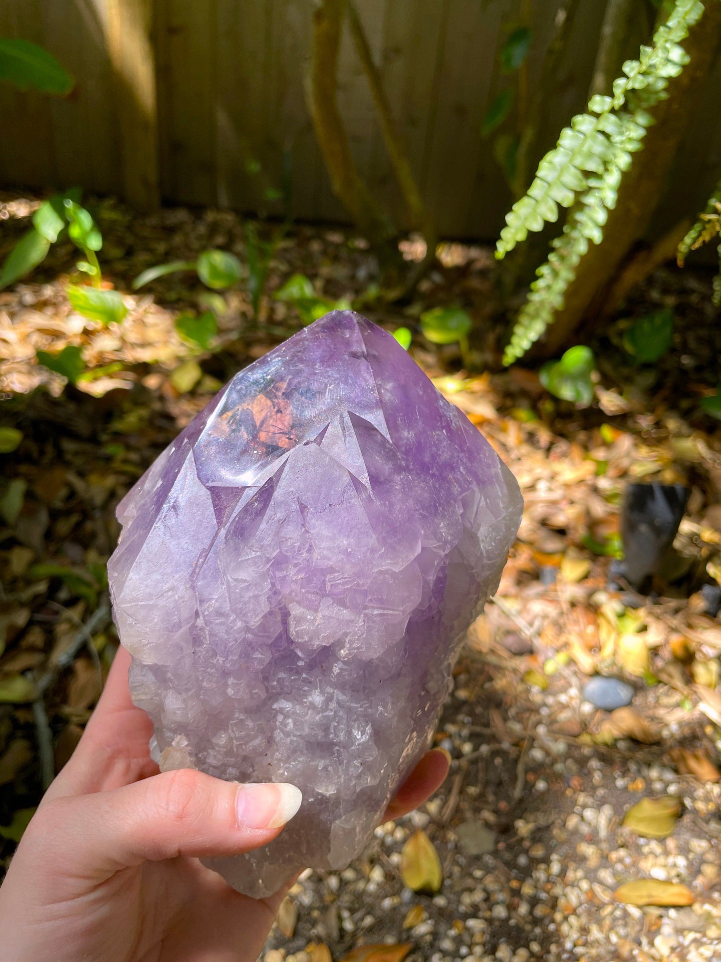 Elestial Amethyst With Polished Tips 1732g 3lb 13.1oz From Brazil Specimen Mineral Crystal