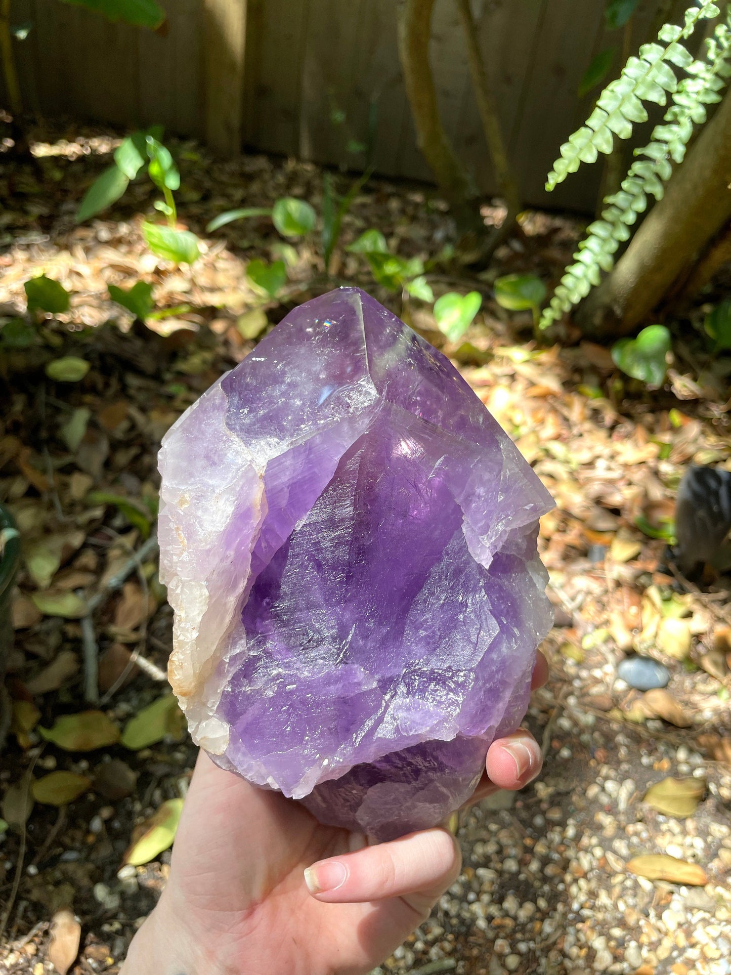 Elestial Amethyst With Polished Tips 1732g 3lb 13.1oz From Brazil Specimen Mineral Crystal