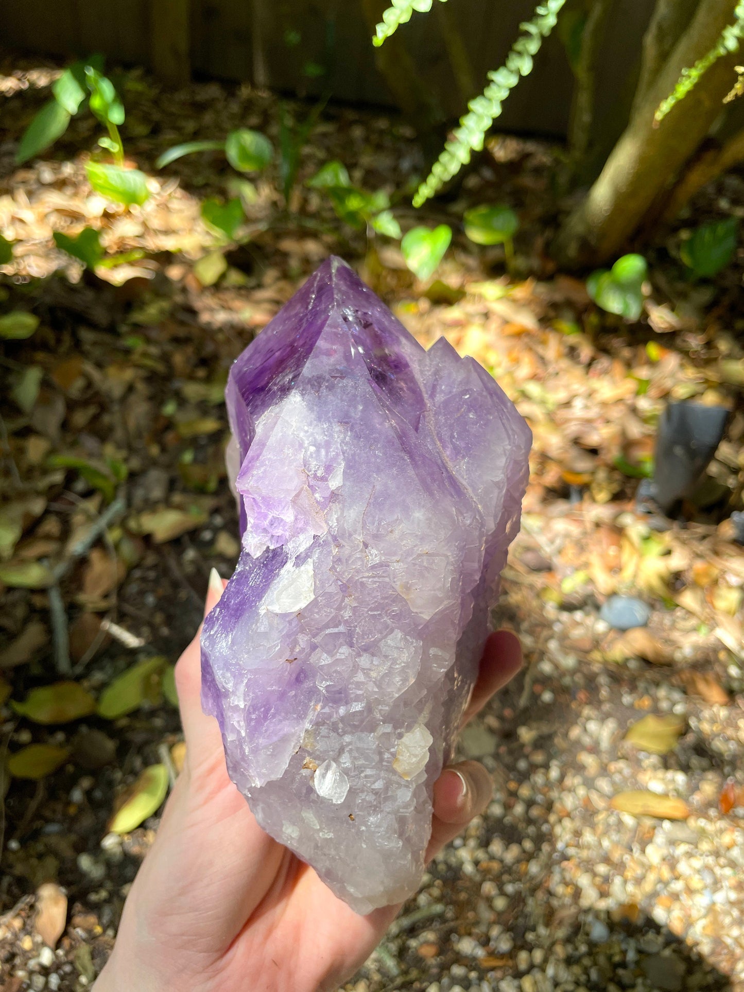 Elestial Amethyst With Polished Tips 1732g 3lb 13.1oz From Brazil Specimen Mineral Crystal