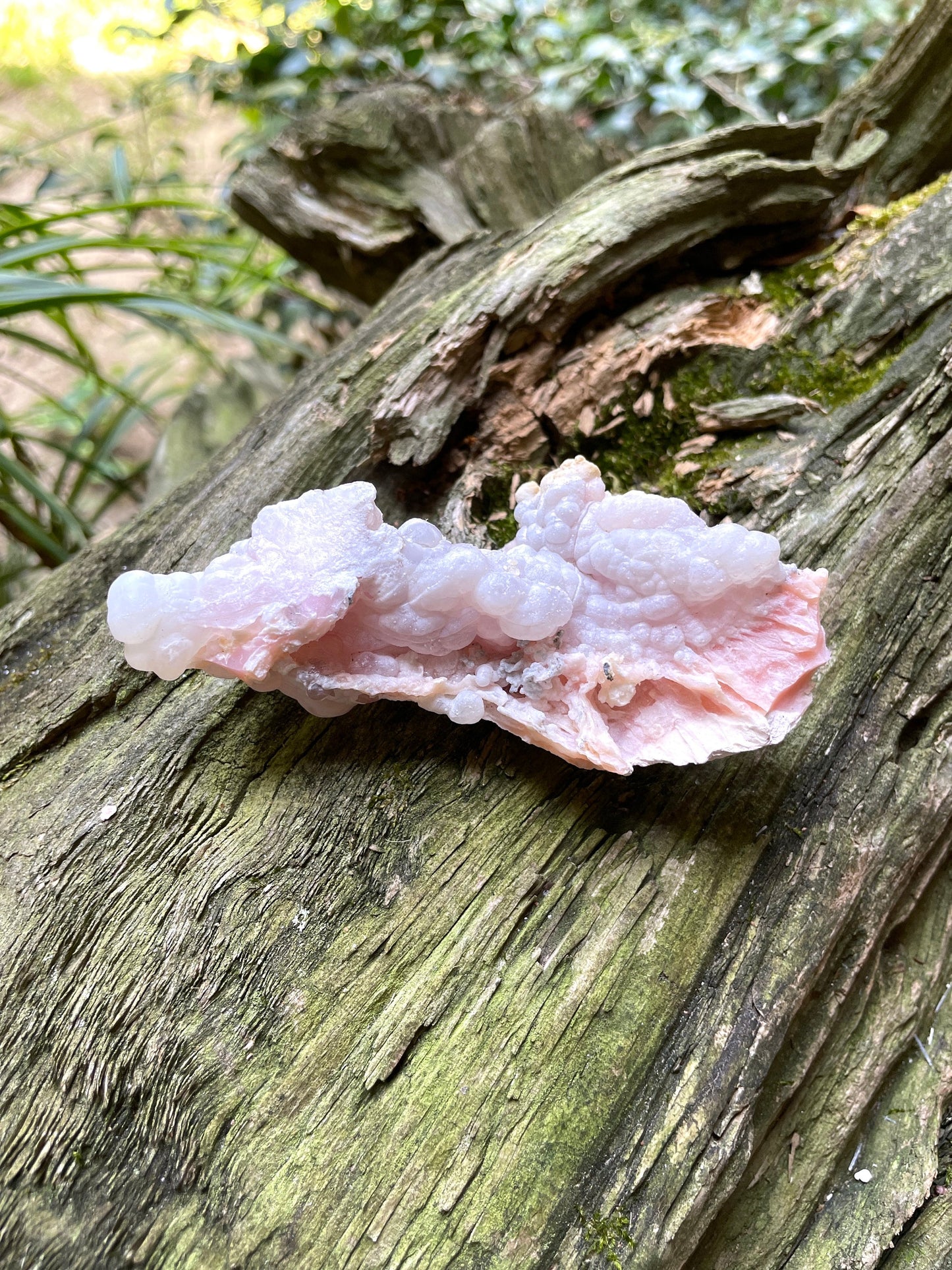 Rare Natural Botryoidal Pink Opal from Ica, Peru Specimen 84.5g Mineral Crystal
