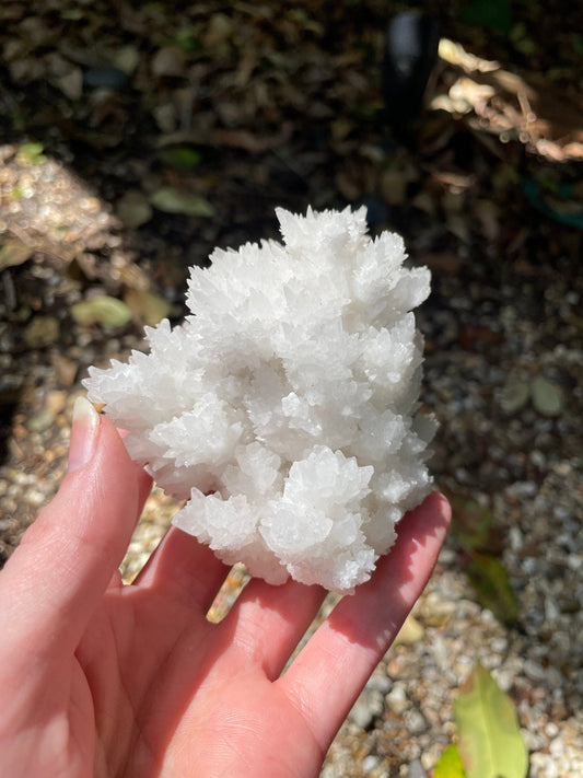 Aragonite Cave Calcite From Mexico 239.9g Specimen Crystals Minerals